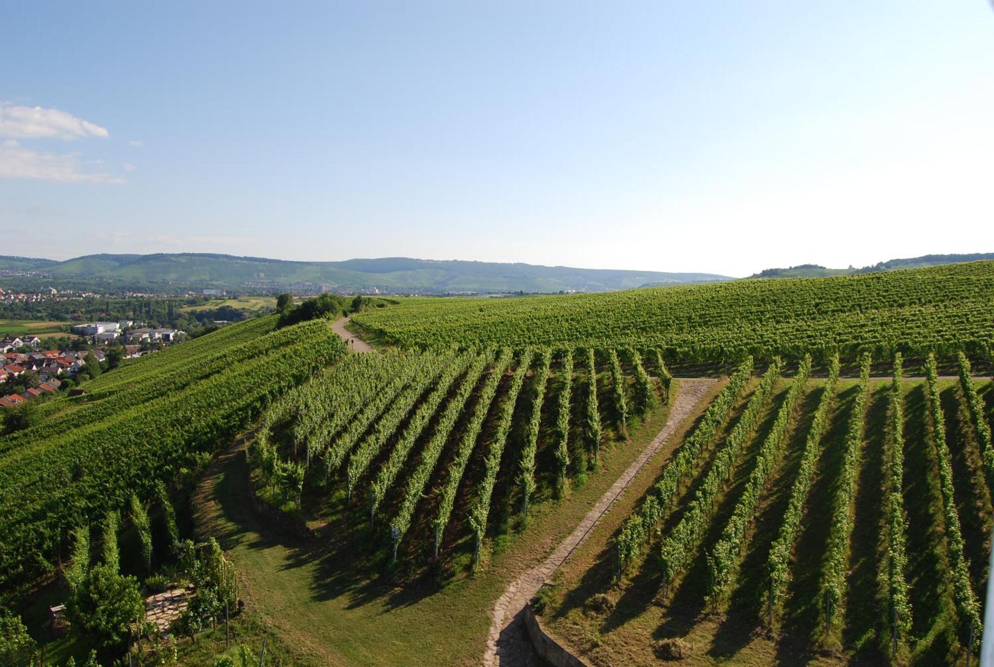 Unter Der Yburg Stetten Stetten  Ngoại thất bức ảnh