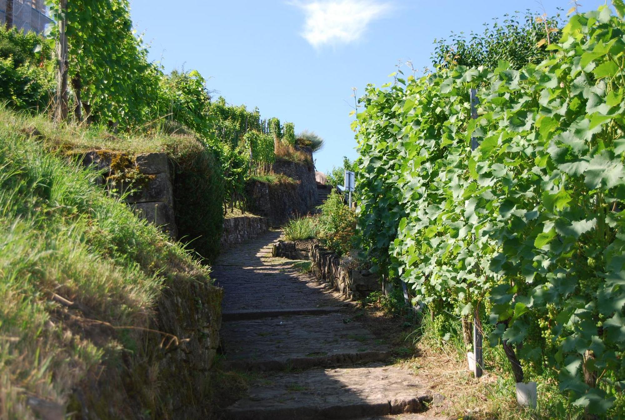 Unter Der Yburg Stetten Stetten  Ngoại thất bức ảnh